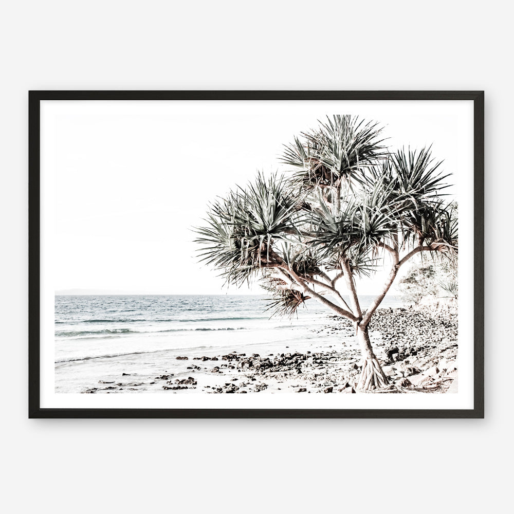 Shop Noosa I Photo Art Print a coastal themed photography wall art print from The Print Emporium wall artwork collection - Buy Australian made fine art poster and framed prints for the home and your interior decor, TPE-600-AP