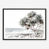 Shop Noosa I Photo Art Print a coastal themed photography wall art print from The Print Emporium wall artwork collection - Buy Australian made fine art poster and framed prints for the home and your interior decor, TPE-600-AP