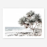 Shop Noosa I Photo Art Print a coastal themed photography wall art print from The Print Emporium wall artwork collection - Buy Australian made fine art poster and framed prints for the home and your interior decor, TPE-600-AP