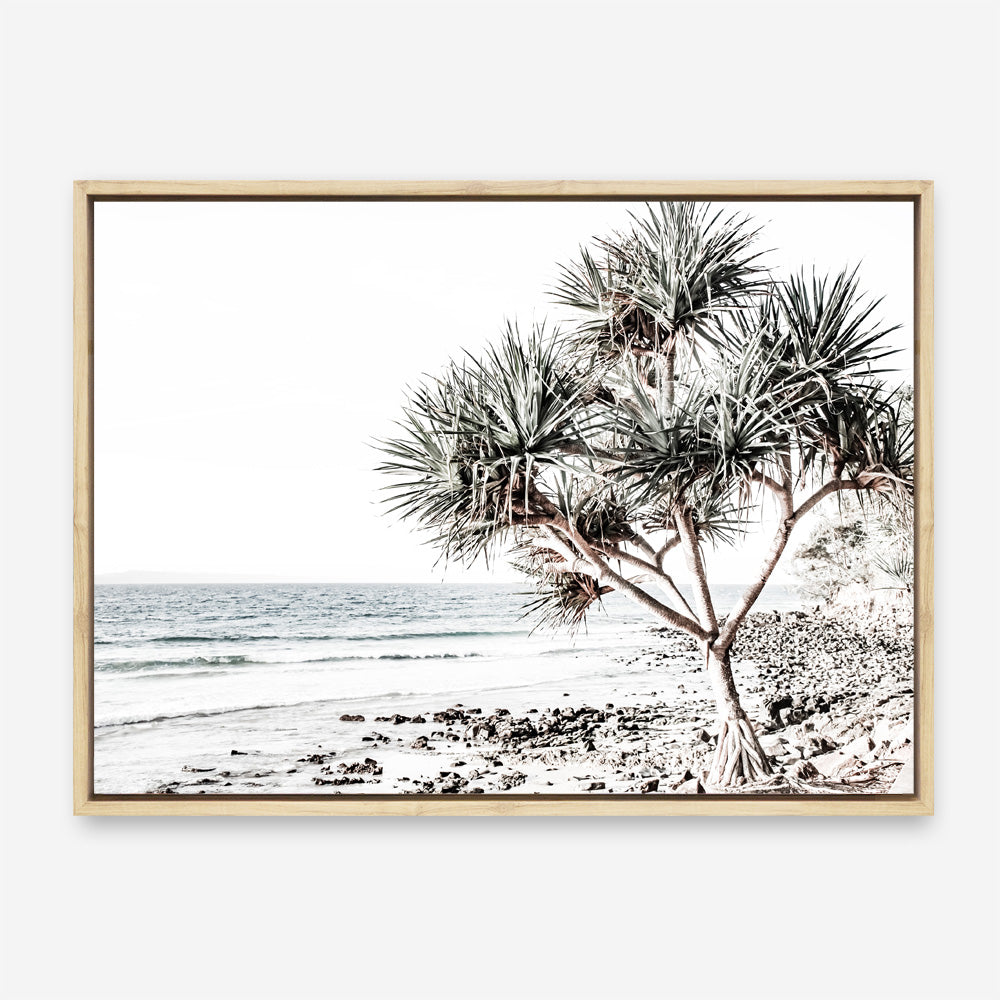 Shop Noosa I Photo Canvas Print a coastal themed photography framed stretched canvas print from The Print Emporium wall artwork collection - Buy Australian made prints for the home and your interior decor space, TPE-600-CA-35X46-NF