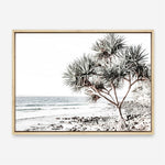 Shop Noosa I Photo Canvas Print a coastal themed photography framed stretched canvas print from The Print Emporium wall artwork collection - Buy Australian made prints for the home and your interior decor space, TPE-600-CA-35X46-NF