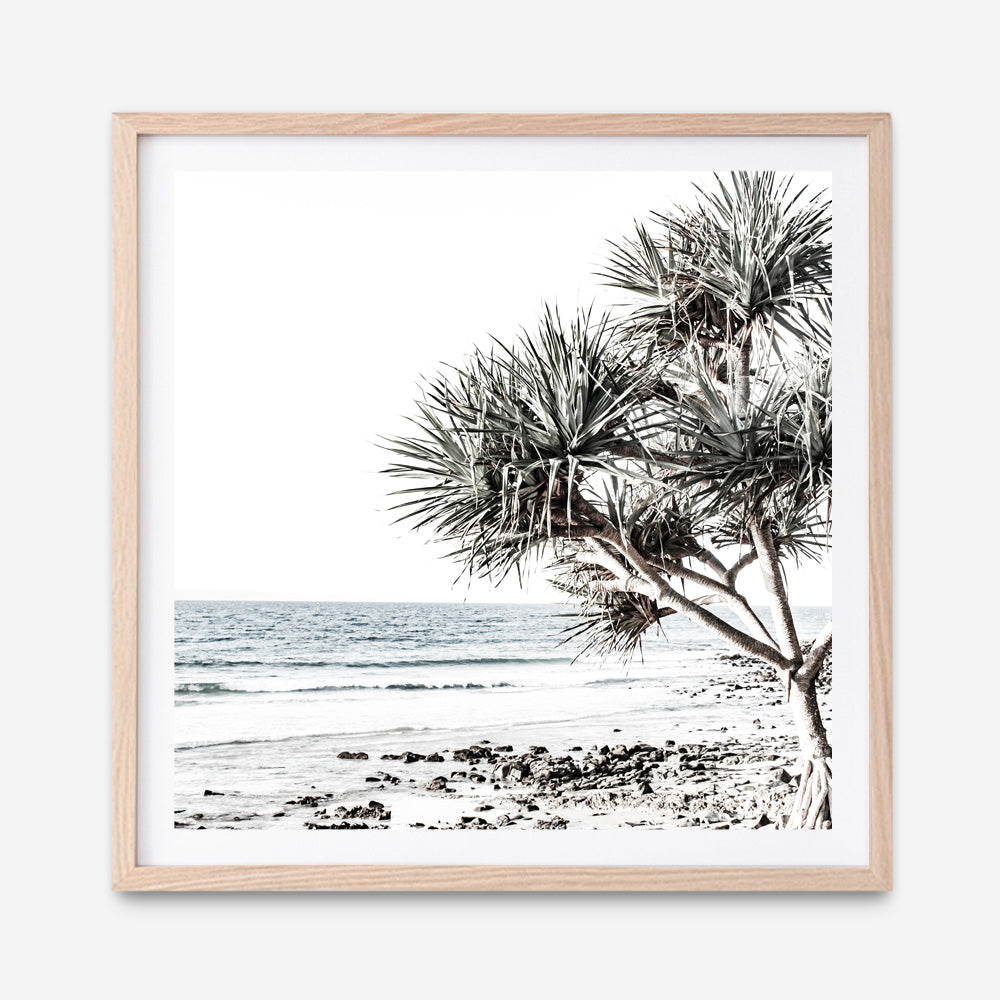 Shop Noosa I (Square) Photo Art Print a coastal themed photography wall art print from The Print Emporium wall artwork collection - Buy Australian made fine art poster and framed prints for the home and your interior decor, TPE-601-AP