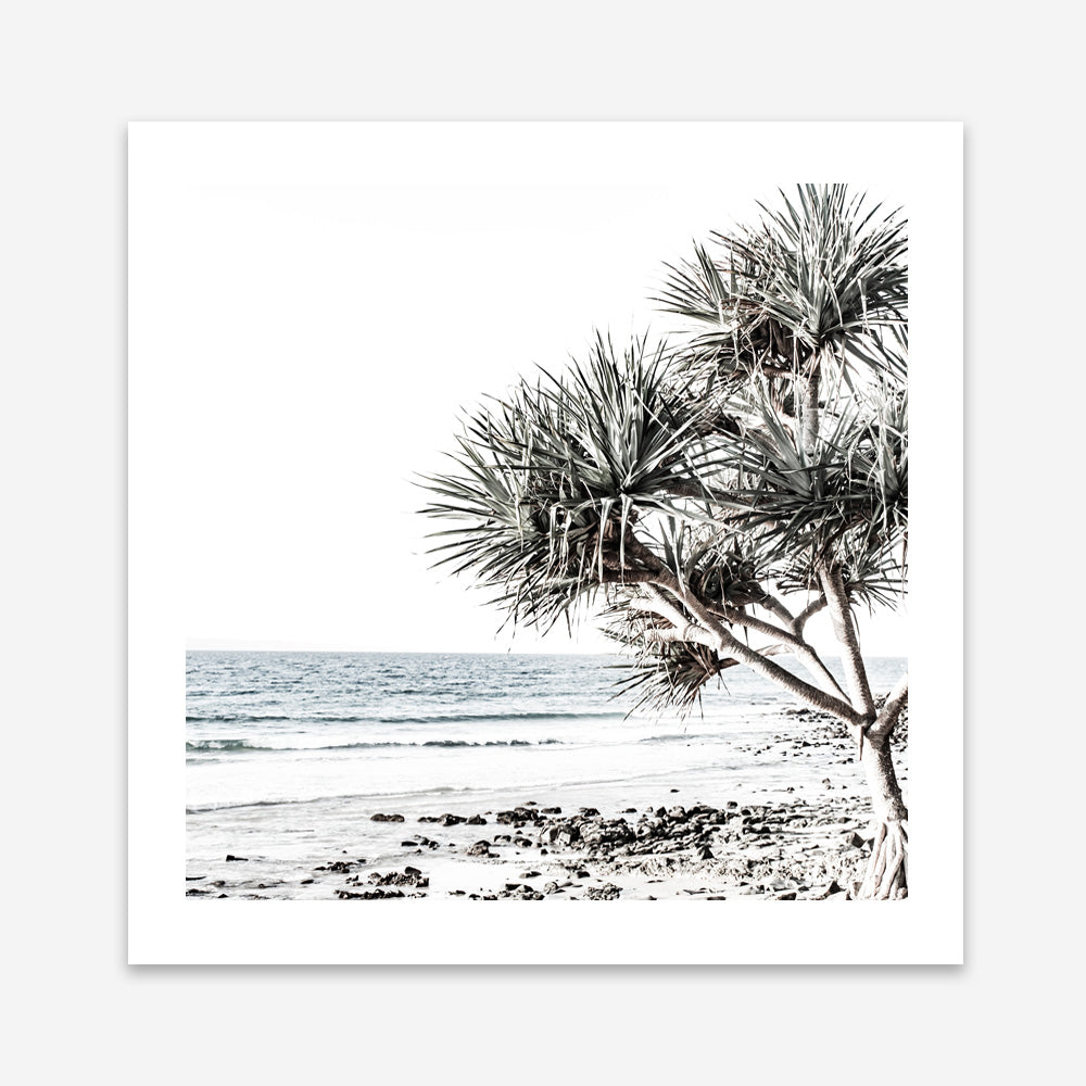 Shop Noosa I (Square) Photo Art Print a coastal themed photography wall art print from The Print Emporium wall artwork collection - Buy Australian made fine art poster and framed prints for the home and your interior decor, TPE-601-AP
