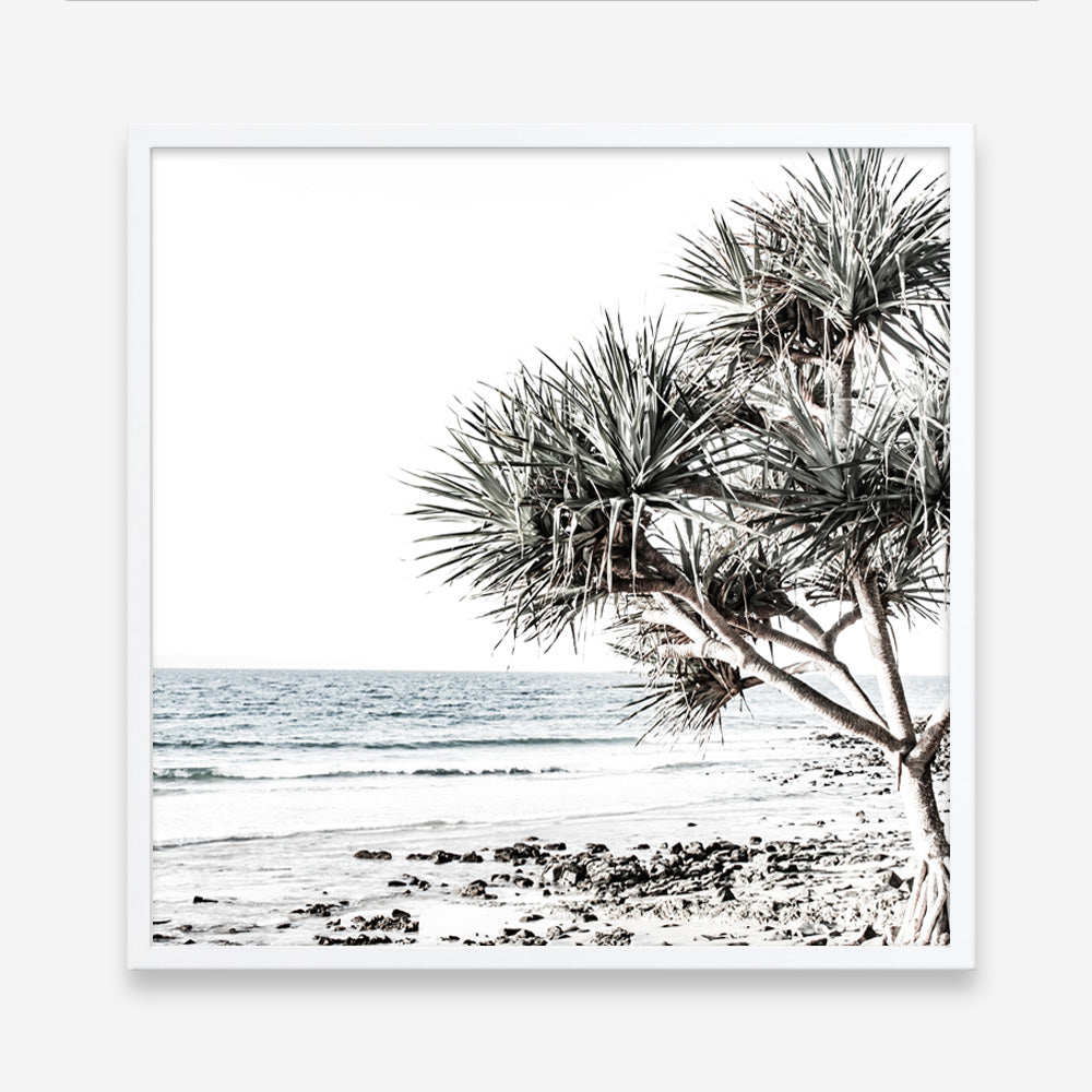 Shop Noosa I (Square) Photo Art Print a coastal themed photography wall art print from The Print Emporium wall artwork collection - Buy Australian made fine art poster and framed prints for the home and your interior decor, TPE-601-AP