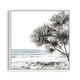 Shop Noosa I (Square) Photo Canvas a coastal themed photography framed stretched canvas print from The Print Emporium wall artwork collection - Buy Australian made prints for the home and your interior decor space, TPE-601-CA-40X40-NF
