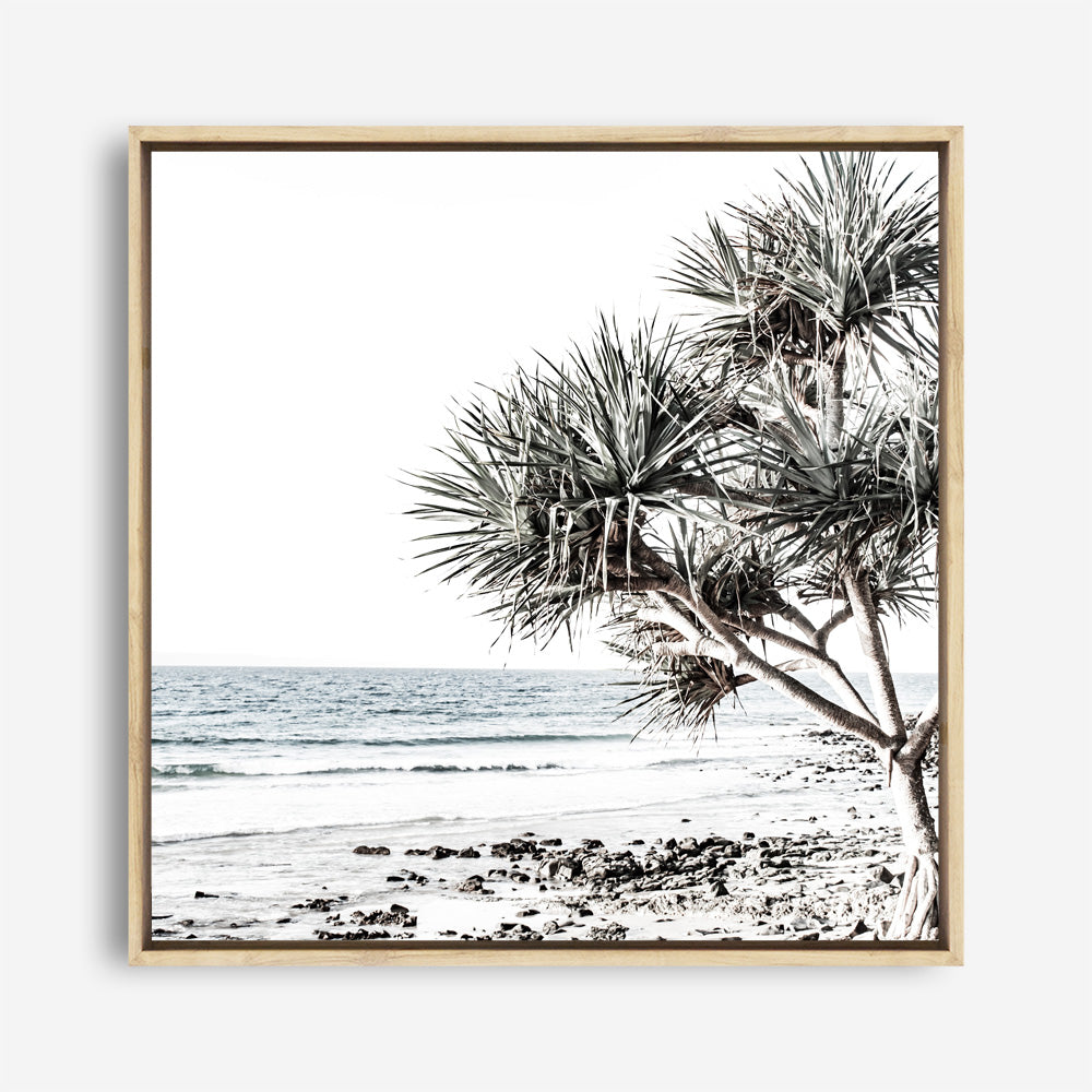 Shop Noosa I (Square) Photo Canvas a coastal themed photography framed stretched canvas print from The Print Emporium wall artwork collection - Buy Australian made prints for the home and your interior decor space, TPE-601-CA-40X40-NF