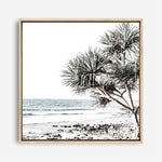 Shop Noosa I (Square) Photo Canvas a coastal themed photography framed stretched canvas print from The Print Emporium wall artwork collection - Buy Australian made prints for the home and your interior decor space, TPE-601-CA-40X40-NF