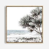 Shop Noosa I (Square) Photo Canvas a coastal themed photography framed stretched canvas print from The Print Emporium wall artwork collection - Buy Australian made prints for the home and your interior decor space, TPE-601-CA-40X40-NF