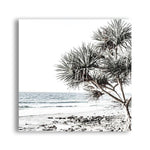 Shop Noosa I (Square) Photo Canvas a coastal themed photography framed stretched canvas print from The Print Emporium wall artwork collection - Buy Australian made prints for the home and your interior decor space, TPE-601-CA-40X40-NF