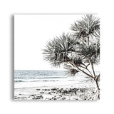 Shop Noosa I (Square) Photo Canvas a coastal themed photography framed stretched canvas print from The Print Emporium wall artwork collection - Buy Australian made prints for the home and your interior decor space, TPE-601-CA-40X40-NF