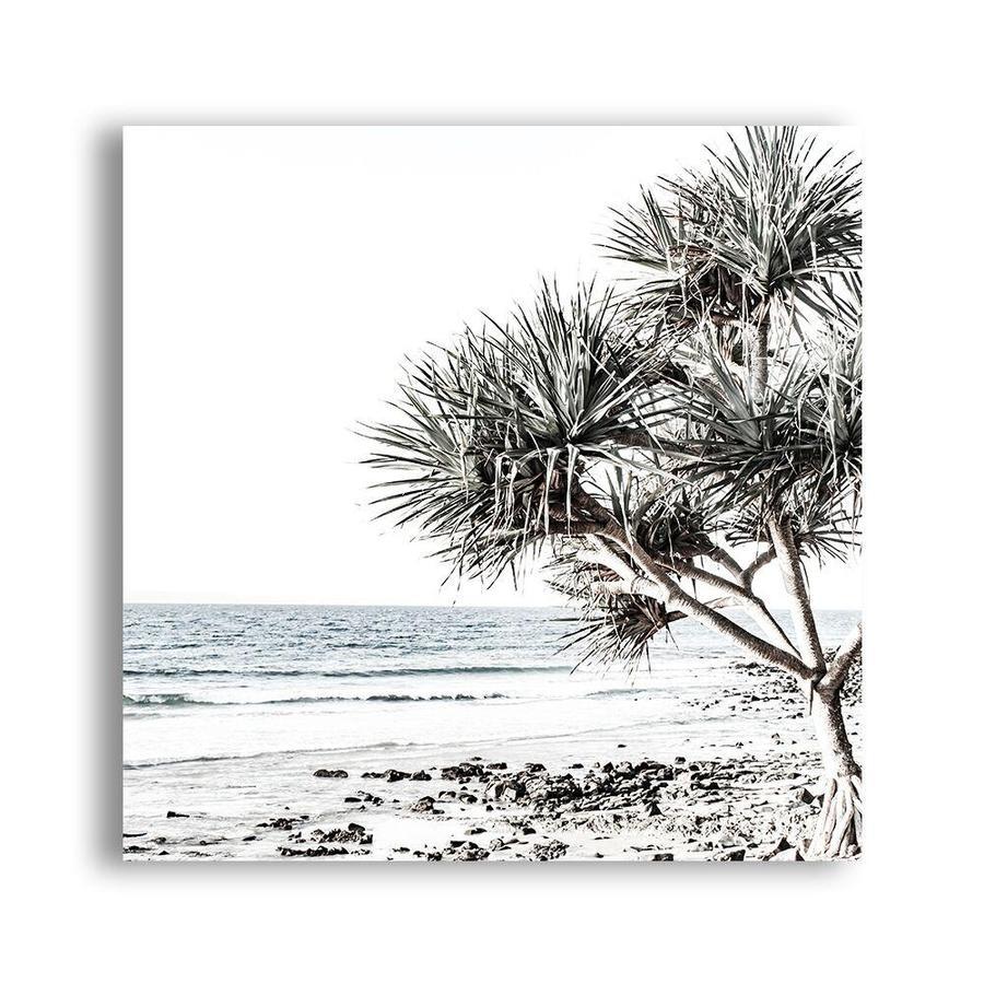 Shop Noosa I (Square) Photo Canvas a coastal themed photography framed stretched canvas print from The Print Emporium wall artwork collection - Buy Australian made prints for the home and your interior decor space, TPE-601-CA-40X40-NF