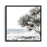 Shop Noosa I (Square) Photo Canvas a coastal themed photography framed stretched canvas print from The Print Emporium wall artwork collection - Buy Australian made prints for the home and your interior decor space, TPE-601-CA-40X40-NF