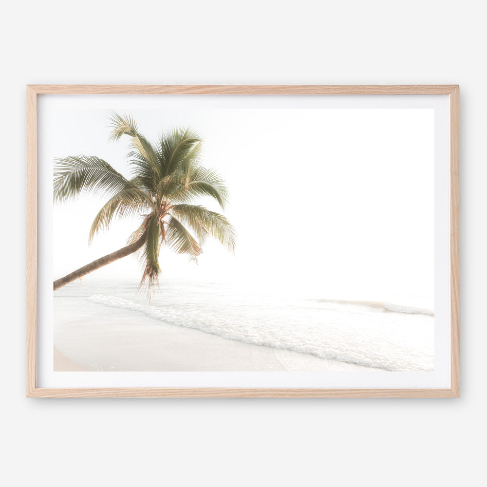 Buy Ocean Palm Tree Photo Art Print | The Print Emporium®