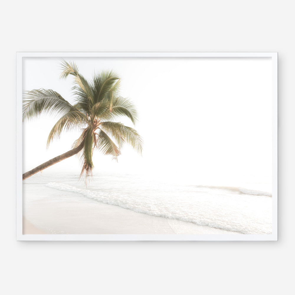 Shop Ocean Palm Tree Photo Art Print a coastal themed photography wall art print from The Print Emporium wall artwork collection - Buy Australian made fine art poster and framed prints for the home and your interior decor, TPE-1183-AP