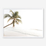 Shop Ocean Palm Tree Photo Art Print a coastal themed photography wall art print from The Print Emporium wall artwork collection - Buy Australian made fine art poster and framed prints for the home and your interior decor, TPE-1183-AP