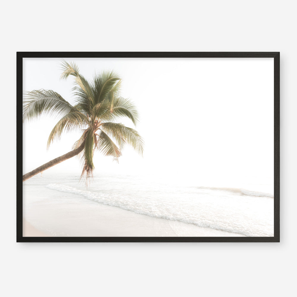 Shop Ocean Palm Tree Photo Art Print a coastal themed photography wall art print from The Print Emporium wall artwork collection - Buy Australian made fine art poster and framed prints for the home and your interior decor, TPE-1183-AP