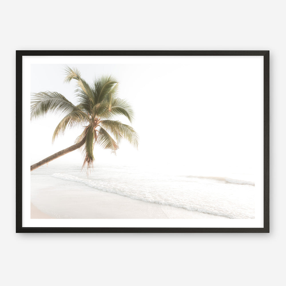 Shop Ocean Palm Tree Photo Art Print a coastal themed photography wall art print from The Print Emporium wall artwork collection - Buy Australian made fine art poster and framed prints for the home and your interior decor, TPE-1183-AP