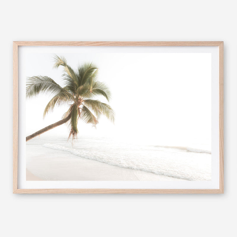 Shop Ocean Palm Tree Photo Art Print a coastal themed photography wall art print from The Print Emporium wall artwork collection - Buy Australian made fine art poster and framed prints for the home and your interior decor, TPE-1183-AP