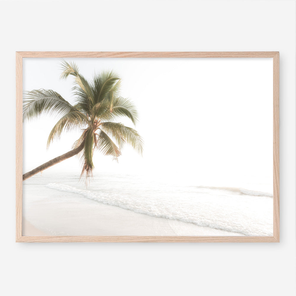 Shop Ocean Palm Tree Photo Art Print a coastal themed photography wall art print from The Print Emporium wall artwork collection - Buy Australian made fine art poster and framed prints for the home and your interior decor, TPE-1183-AP