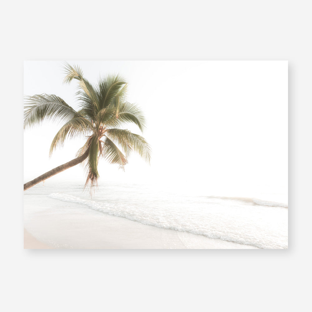Shop Ocean Palm Tree Photo Art Print a coastal themed photography wall art print from The Print Emporium wall artwork collection - Buy Australian made fine art poster and framed prints for the home and your interior decor, TPE-1183-AP
