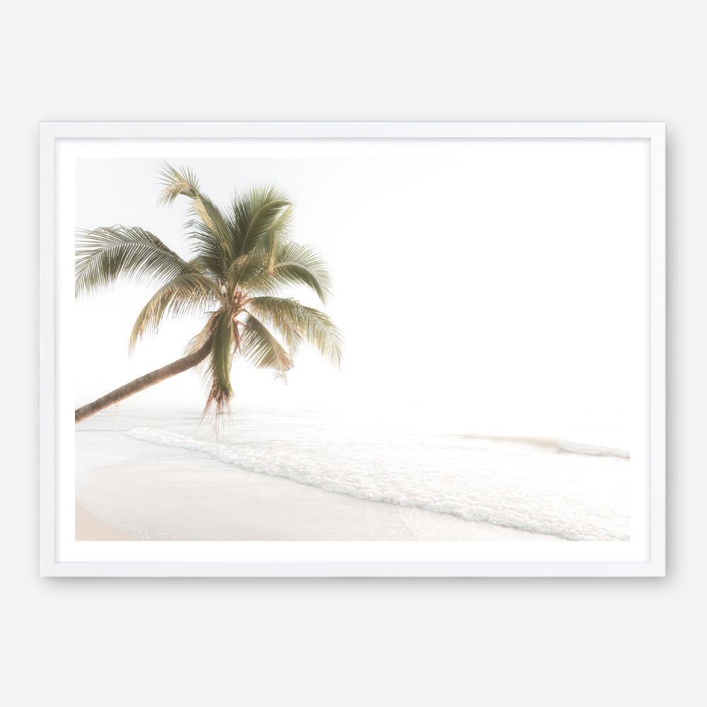 Shop Ocean Palm Tree Photo Art Print a coastal themed photography wall art print from The Print Emporium wall artwork collection - Buy Australian made fine art poster and framed prints for the home and your interior decor, TPE-1183-AP