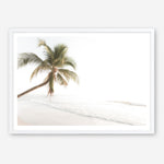 Shop Ocean Palm Tree Photo Art Print a coastal themed photography wall art print from The Print Emporium wall artwork collection - Buy Australian made fine art poster and framed prints for the home and your interior decor, TPE-1183-AP