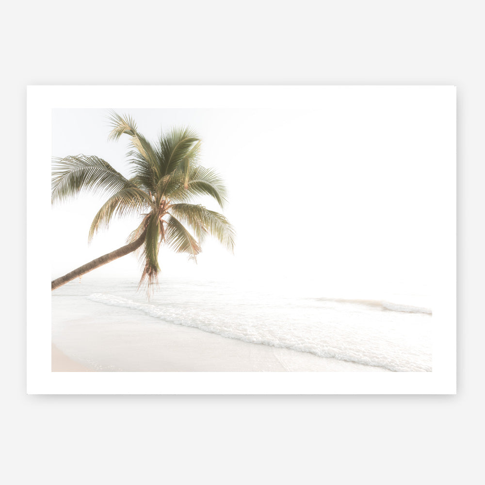 Shop Ocean Palm Tree Photo Art Print a coastal themed photography wall art print from The Print Emporium wall artwork collection - Buy Australian made fine art poster and framed prints for the home and your interior decor, TPE-1183-AP