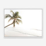 Shop Ocean Palm Tree Photo Canvas Print a coastal themed photography framed stretched canvas print from The Print Emporium wall artwork collection - Buy Australian made prints for the home and your interior decor space, TPE-1183-CA-35X46-NF