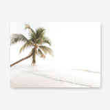 Shop Ocean Palm Tree Photo Canvas Print a coastal themed photography framed stretched canvas print from The Print Emporium wall artwork collection - Buy Australian made prints for the home and your interior decor space, TPE-1183-CA-35X46-NF
