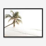 Shop Ocean Palm Tree Photo Canvas Print a coastal themed photography framed stretched canvas print from The Print Emporium wall artwork collection - Buy Australian made prints for the home and your interior decor space, TPE-1183-CA-35X46-NF