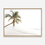 Shop Ocean Palm Tree Photo Canvas Print a coastal themed photography framed stretched canvas print from The Print Emporium wall artwork collection - Buy Australian made prints for the home and your interior decor space, TPE-1183-CA-35X46-NF