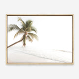 Shop Ocean Palm Tree Photo Canvas Print a coastal themed photography framed stretched canvas print from The Print Emporium wall artwork collection - Buy Australian made prints for the home and your interior decor space, TPE-1183-CA-35X46-NF