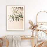 Shop Olive Branch Photo Art Print a photography wall art print from The Print Emporium wall artwork collection - Buy Australian made fine art poster and framed prints for the home and your interior decor room, TPE-1310-AP