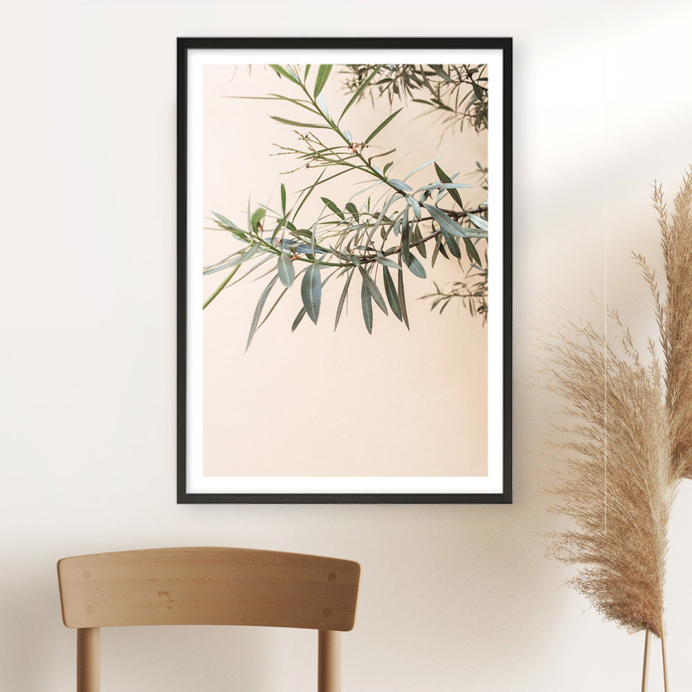 Shop Olive Branch Photo Art Print a photography wall art print from The Print Emporium wall artwork collection - Buy Australian made fine art poster and framed prints for the home and your interior decor room, TPE-1310-AP
