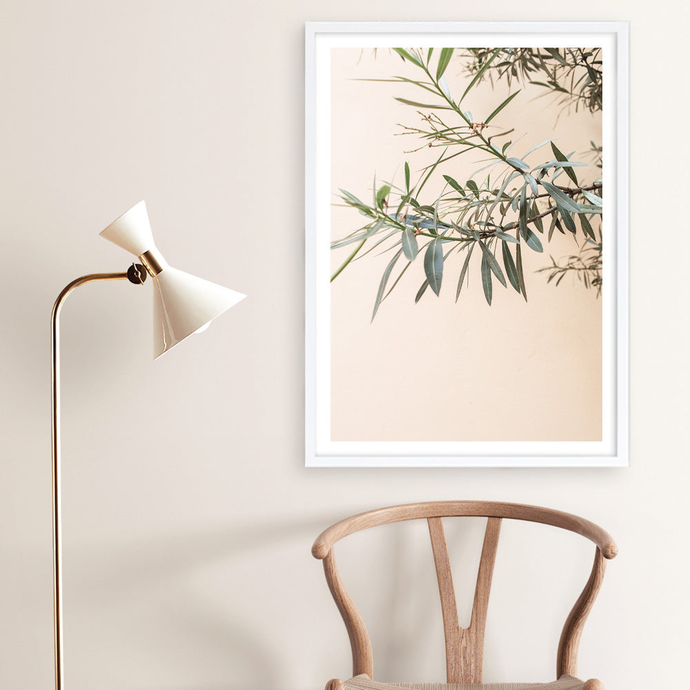 Shop Olive Branch Photo Art Print a photography wall art print from The Print Emporium wall artwork collection - Buy Australian made fine art poster and framed prints for the home and your interior decor room, TPE-1310-AP