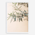 Shop Olive Branch Photo Art Print a photography wall art print from The Print Emporium wall artwork collection - Buy Australian made fine art poster and framed prints for the home and your interior decor room, TPE-1310-AP