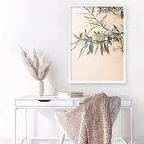 Shop Olive Branch Photo Art Print a photography wall art print from The Print Emporium wall artwork collection - Buy Australian made fine art poster and framed prints for the home and your interior decor room, TPE-1310-AP
