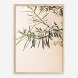 Shop Olive Branch Photo Art Print a photography wall art print from The Print Emporium wall artwork collection - Buy Australian made fine art poster and framed prints for the home and your interior decor room, TPE-1310-AP