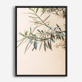 Shop Olive Branch Photo Canvas Print a Moroccan desert boho themed photography framed stretched canvas print from The Print Emporium wall artwork collection - Buy Australian made prints for the home and your interior decor space, TPE-1310-CA-35X46-NF