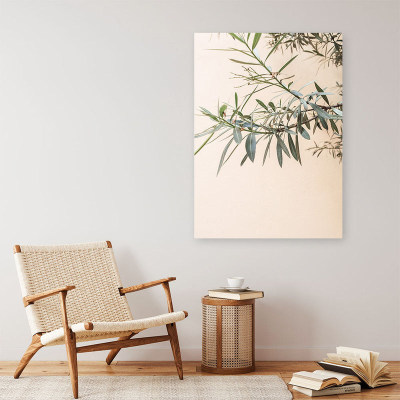Buy Olive Branch Photo Canvas Wall Art
