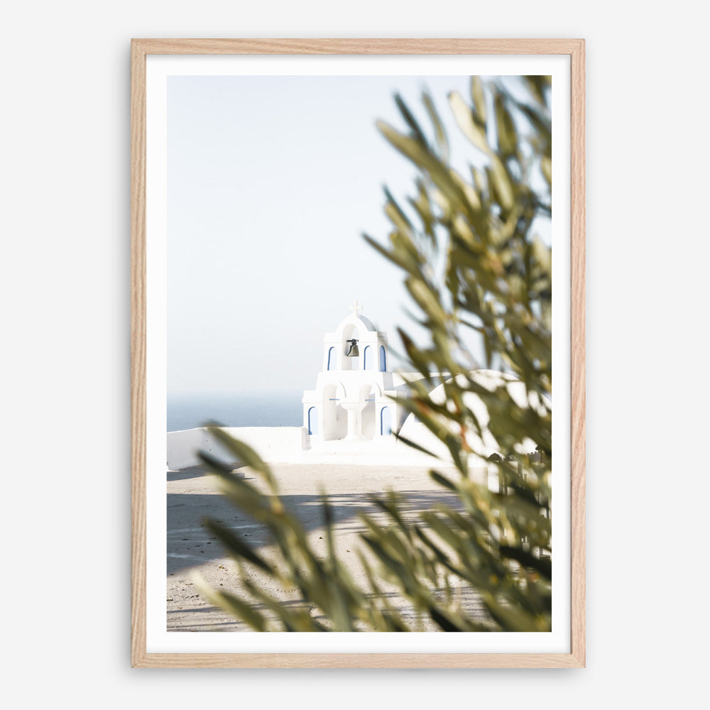 Shop Olive Branch View Photo Art Print a coastal themed photography wall art print from The Print Emporium wall artwork collection - Buy Australian made fine art poster and framed prints for the home and your interior decor, TPE-1366-AP