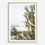 Shop Olive Branch View Photo Art Print a coastal themed photography wall art print from The Print Emporium wall artwork collection - Buy Australian made fine art poster and framed prints for the home and your interior decor, TPE-1366-AP