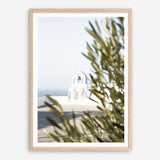 Shop Olive Branch View Photo Art Print a coastal themed photography wall art print from The Print Emporium wall artwork collection - Buy Australian made fine art poster and framed prints for the home and your interior decor, TPE-1366-AP