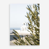 Shop Olive Branch View Photo Art Print a coastal themed photography wall art print from The Print Emporium wall artwork collection - Buy Australian made fine art poster and framed prints for the home and your interior decor, TPE-1366-AP