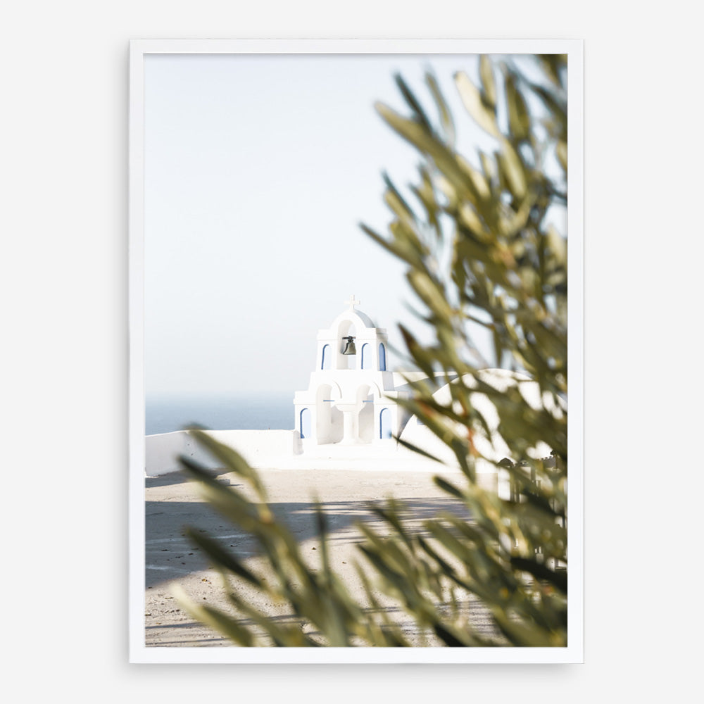 Shop Olive Branch View Photo Art Print a coastal themed photography wall art print from The Print Emporium wall artwork collection - Buy Australian made fine art poster and framed prints for the home and your interior decor, TPE-1366-AP
