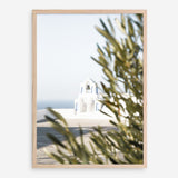 Shop Olive Branch View Photo Art Print a coastal themed photography wall art print from The Print Emporium wall artwork collection - Buy Australian made fine art poster and framed prints for the home and your interior decor, TPE-1366-AP