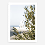 Shop Olive Branch View Photo Art Print a coastal themed photography wall art print from The Print Emporium wall artwork collection - Buy Australian made fine art poster and framed prints for the home and your interior decor, TPE-1366-AP