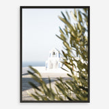 Shop Olive Branch View Photo Art Print a coastal themed photography wall art print from The Print Emporium wall artwork collection - Buy Australian made fine art poster and framed prints for the home and your interior decor, TPE-1366-AP