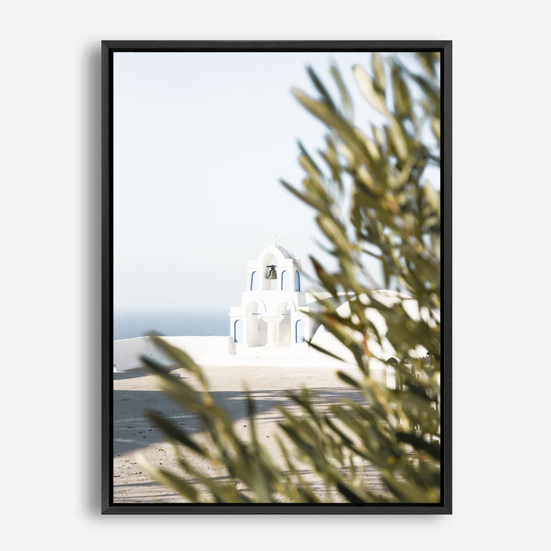 Shop Olive Branch View Photo Canvas Print a coastal themed photography framed stretched canvas print from The Print Emporium wall artwork collection - Buy Australian made prints for the home and your interior decor space, TPE-1366-CA-35X46-NF
