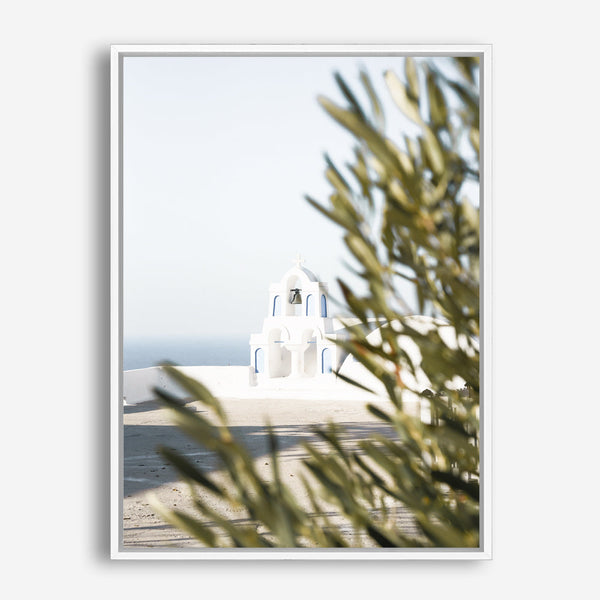 Shop Olive Branch View Photo Canvas Print a coastal themed photography framed stretched canvas print from The Print Emporium wall artwork collection - Buy Australian made prints for the home and your interior decor space, TPE-1366-CA-35X46-NF